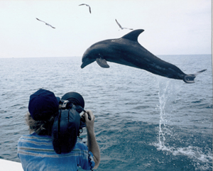 Jeff filming Dolphin